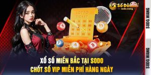Xổ Số Miền Bắc Tại Sodo Chốt Số VIP Miễn Phí Hàng Ngày